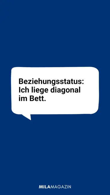 Lustige sprüche über beziehungsstatus